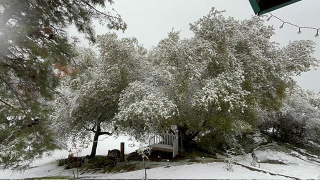 30670 Sentinel Drive, Coarsegold, CA 93614