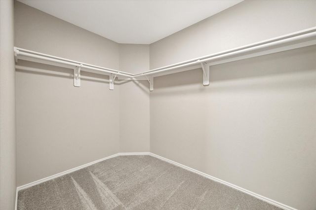 3630 Rowlock Vine Drive, Houston, TX 77084