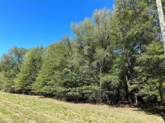 TBD Somerset Trail Road, Point Blank, TX 77364