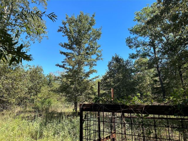 TBD Somerset Trail Road, Point Blank, TX 77364