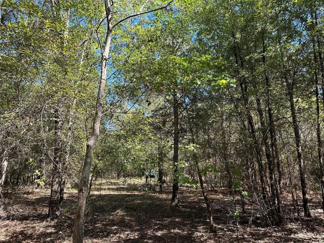 TBD Somerset Trail Road, Point Blank, TX 77364