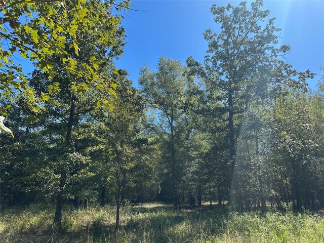 TBD Somerset Trail Road, Point Blank, TX 77364