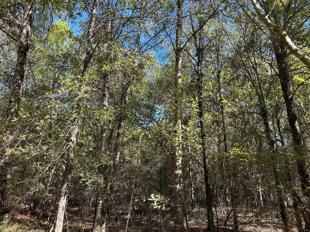 TBD Somerset Trail Road, Point Blank, TX 77364