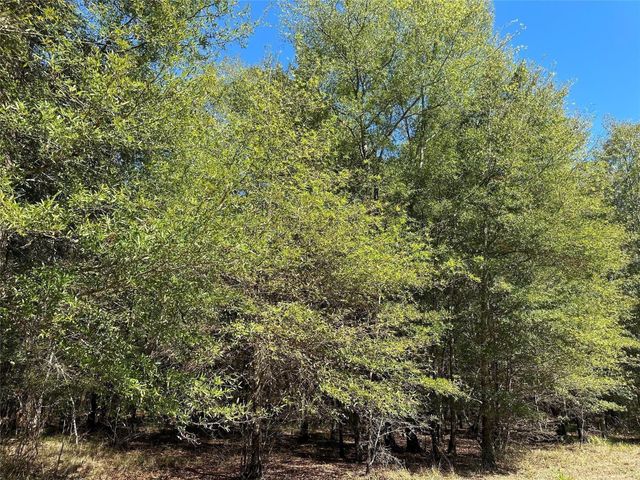 TBD Somerset Trail Road, Point Blank, TX 77364