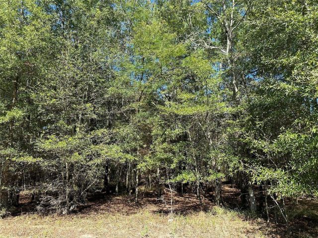 TBD Somerset Trail Road, Point Blank, TX 77364