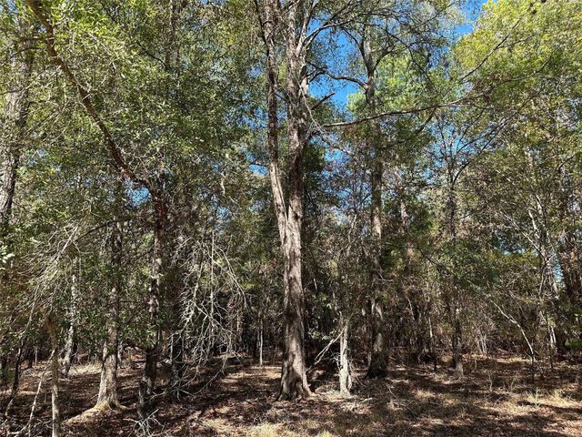 TBD Somerset Trail Road, Point Blank, TX 77364