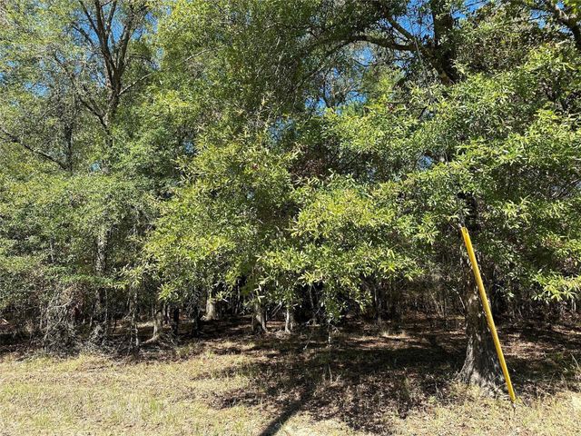 TBD Somerset Trail Road, Point Blank, TX 77364