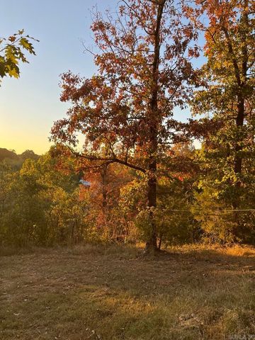 30 Bonita Drive, Perryville, AR 72126