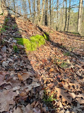 30 Bonita Drive, Perryville, AR 72126