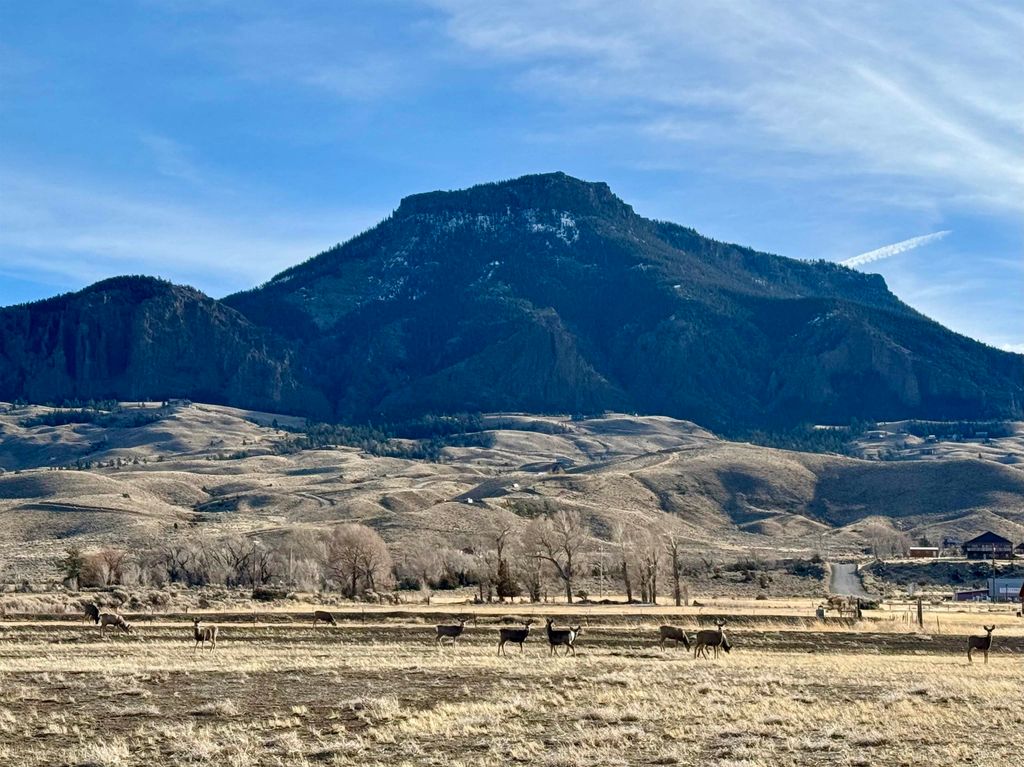 74 Big Creek Dr, Cody, WY 82414 photo 7