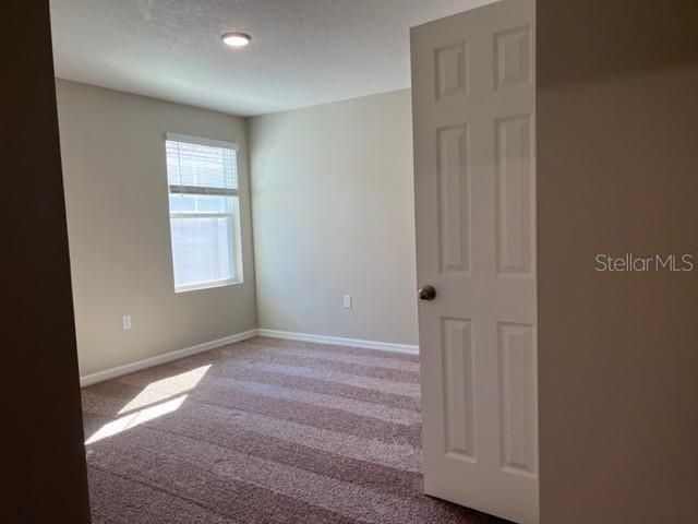 34137 SCARLET SAGE COURT, Wesley Chapel, FL 33545