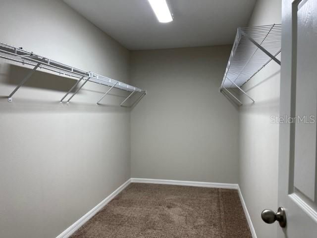 34137 SCARLET SAGE COURT, Wesley Chapel, FL 33545