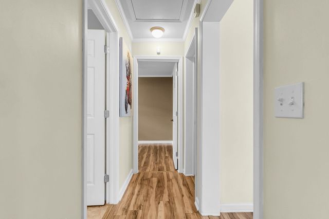 916 Hillsboro Drive, Charleston, SC 29407