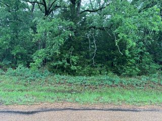 111 Double Bridge Road, Mabank, TX 75156