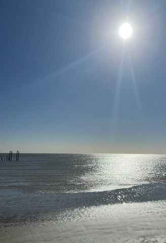 1817 Todville Road, Seabrook, TX 77586