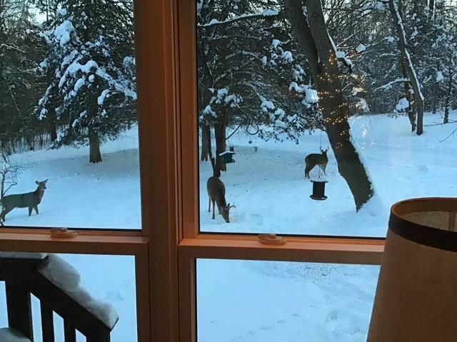 S5315 Sleepy Hollow Road, Baraboo, WI 53913