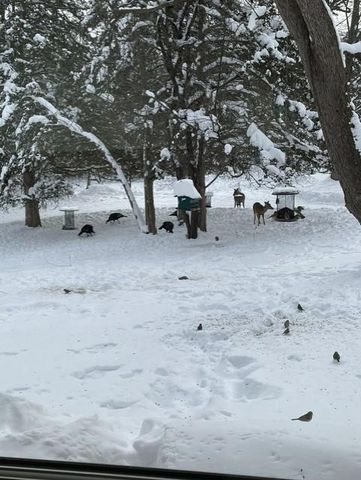 S5315 Sleepy Hollow Road, Baraboo, WI 53913