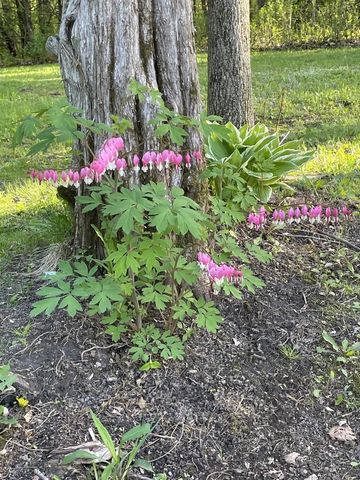 S5315 Sleepy Hollow Road, Baraboo, WI 53913