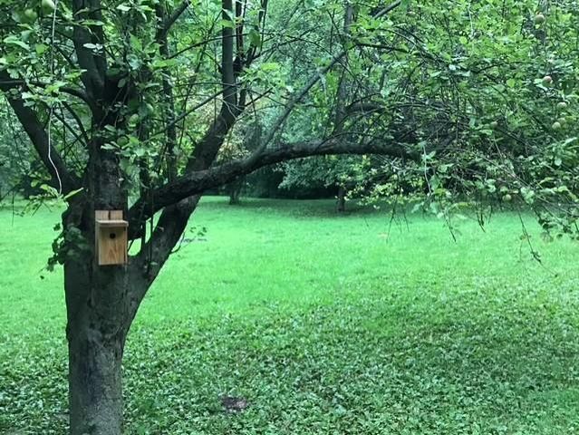 S5315 Sleepy Hollow Road, Baraboo, WI 53913