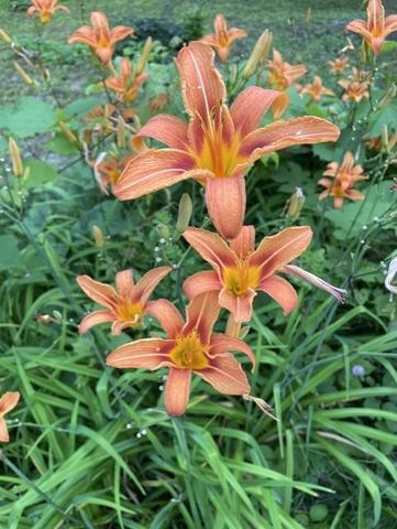 S5315 Sleepy Hollow Road, Baraboo, WI 53913