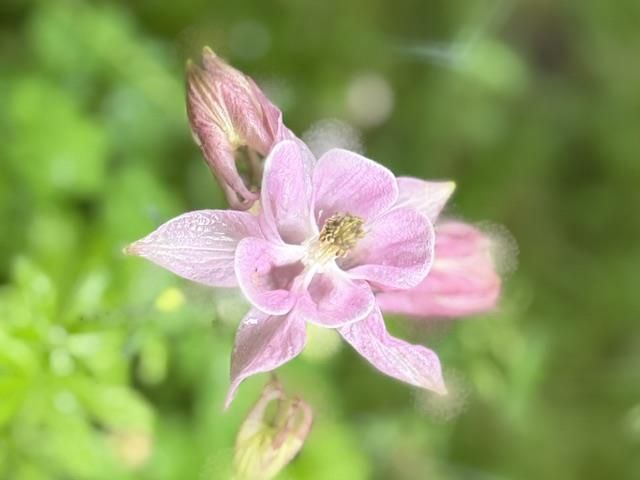 S5315 Sleepy Hollow Road, Baraboo, WI 53913