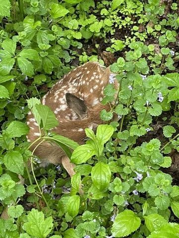 S5315 Sleepy Hollow Road, Baraboo, WI 53913