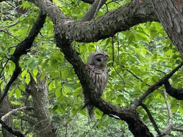 S5315 Sleepy Hollow Road, Baraboo, WI 53913