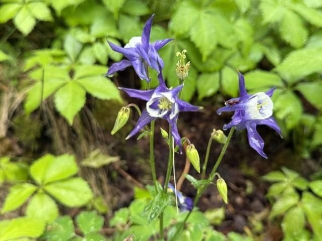 S5315 Sleepy Hollow Road, Baraboo, WI 53913