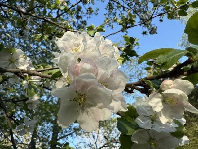 S5315 Sleepy Hollow Road, Baraboo, WI 53913