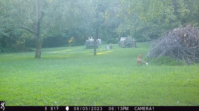 S5315 Sleepy Hollow Road, Baraboo, WI 53913