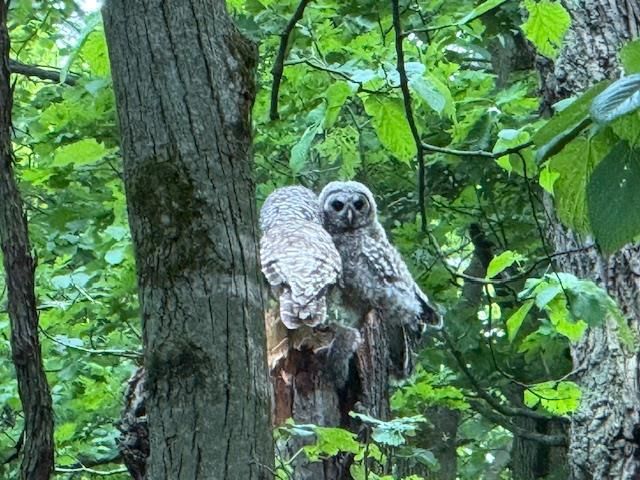 S5315 Sleepy Hollow Road, Baraboo, WI 53913