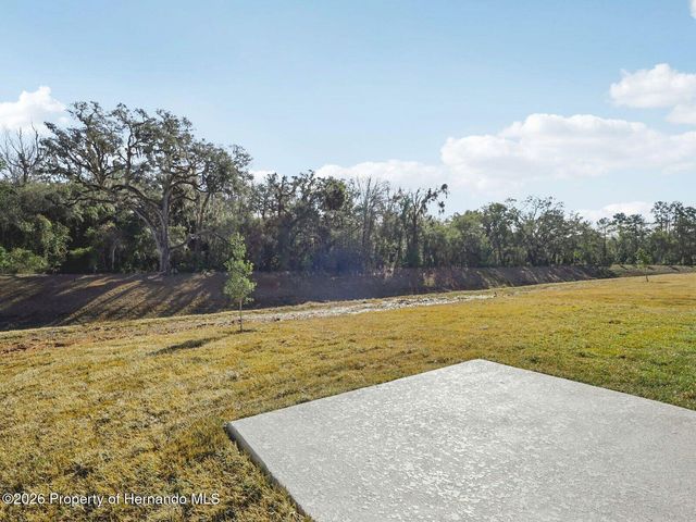 7200 RAY CREEK Drive, Brooksville, FL 34601
