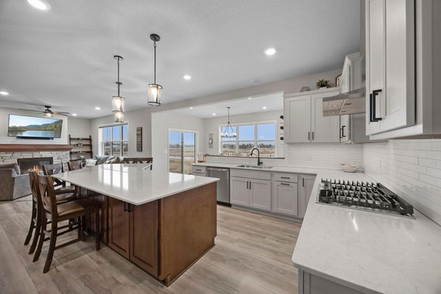 14341 Alder Way, Rosemount, MN 55068