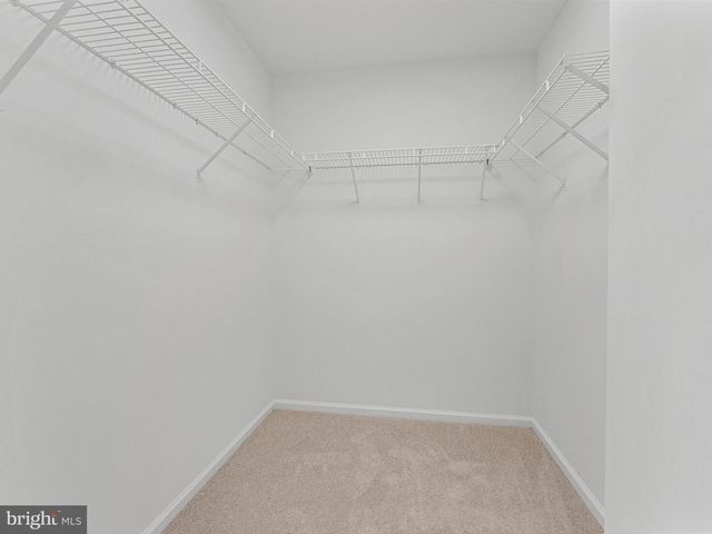 14 W 28TH ST, Ocean City, NJ 08226