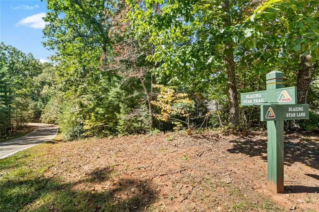 288 Blazingstar Trail, Big Canoe, GA 30143