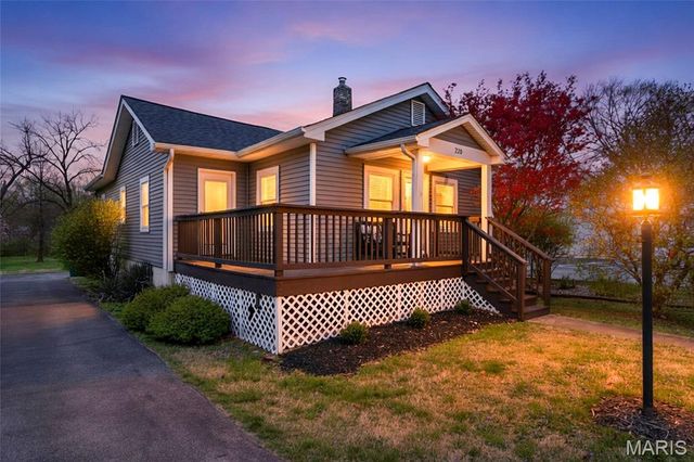220 Chestnut Avenue, Webster Groves, MO 63119