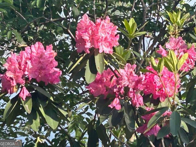 1931 Oliver Bridge Road, Watkinsville, GA 30677