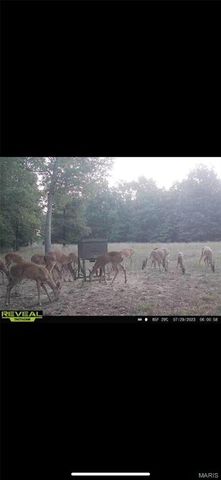 3403 Ripley BB-2, Doniphan, MO 63935