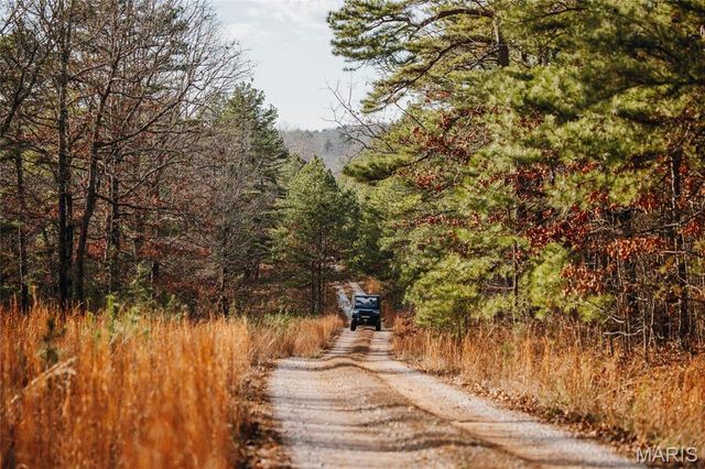 3403 Ripley BB-2, Doniphan, MO 63935