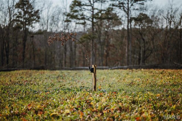 3403 Ripley BB-2, Doniphan, MO 63935