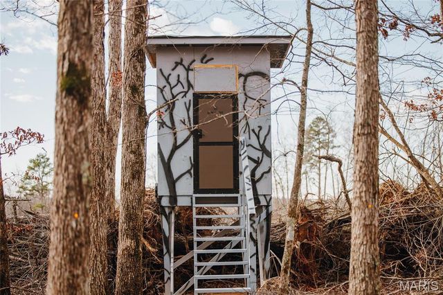 3403 Ripley BB-2, Doniphan, MO 63935