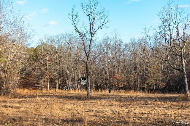 3403 Ripley BB-2, Doniphan, MO 63935