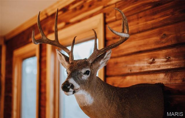 3403 Ripley BB-2, Doniphan, MO 63935