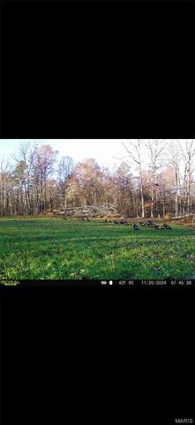 3403 Ripley BB-2, Doniphan, MO 63935