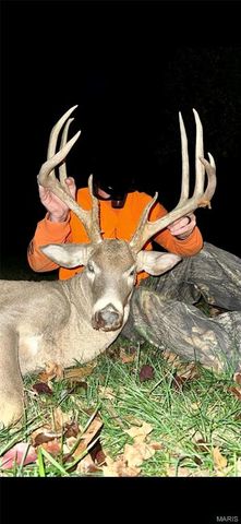 3403 Ripley BB-2, Doniphan, MO 63935