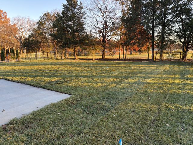 3917 Delzotto Drive, Murfreesboro, TN 37128