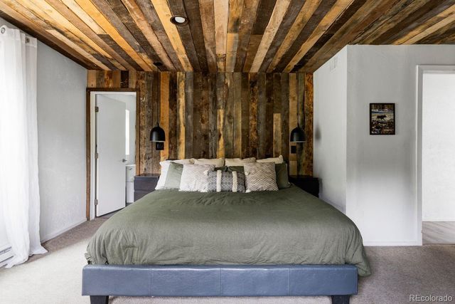 133 Gold Run Road, Alma, CO 80440