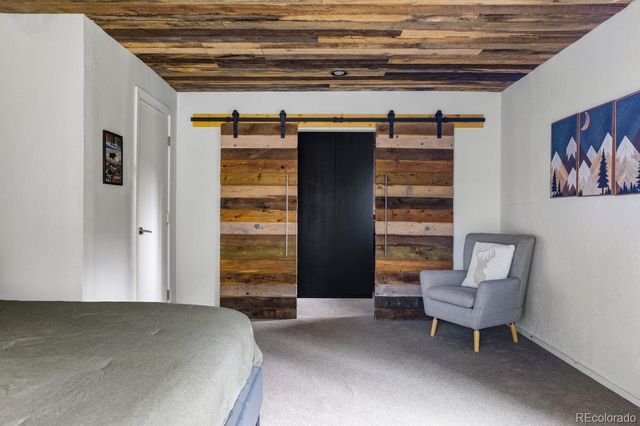 133 Gold Run Road, Alma, CO 80440