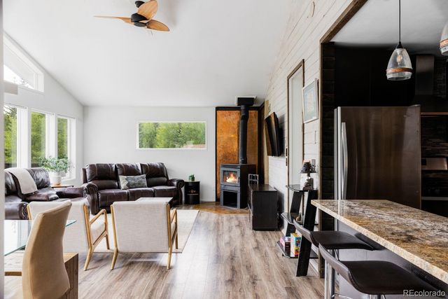 133 Gold Run Road, Alma, CO 80440