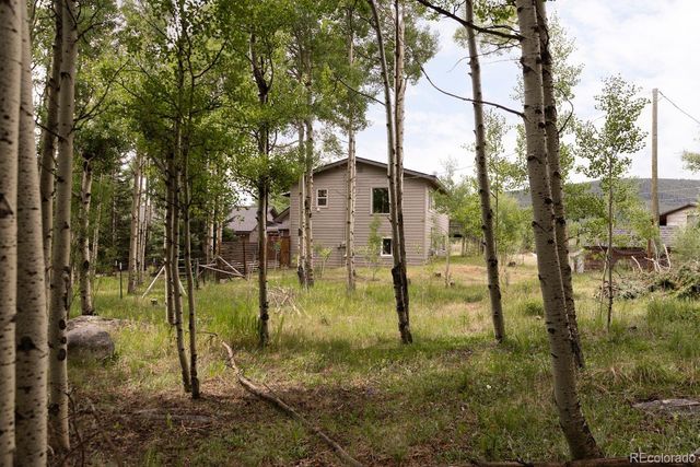 133 Gold Run Road, Alma, CO 80440